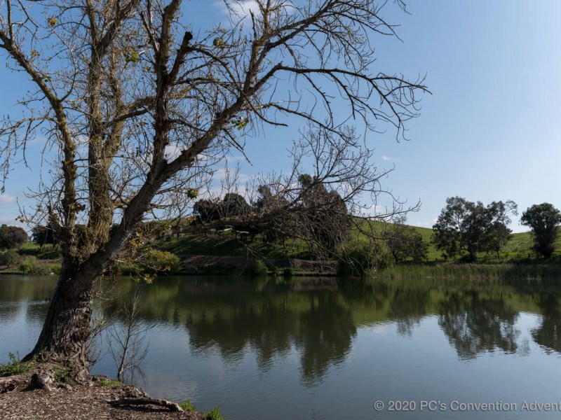 Greetings and introductions!